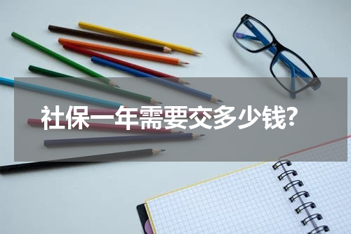 社保一年需要交多少钱?