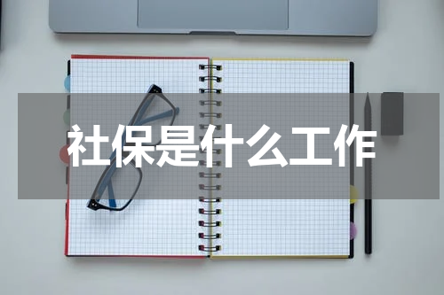 社保是什么工作