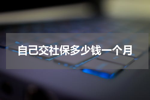 自己交社保多少钱一个月