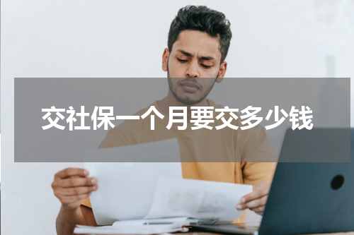交社保一个月要交多少钱