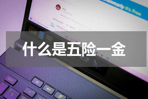 什么是五险一金