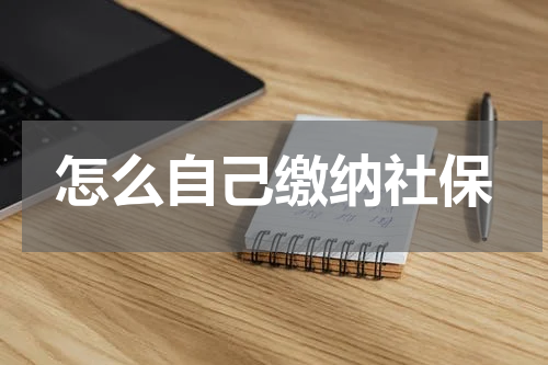 怎么自己缴纳社保
