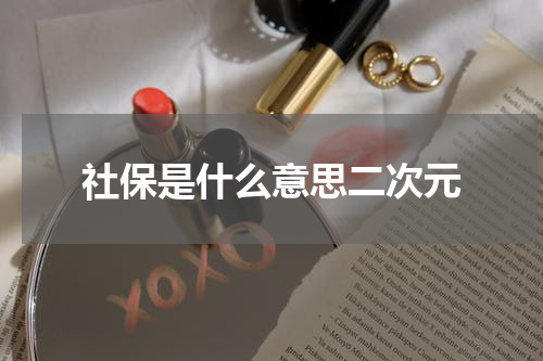 社保是什么意思二次元