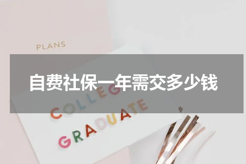 自费社保一年需交多少钱