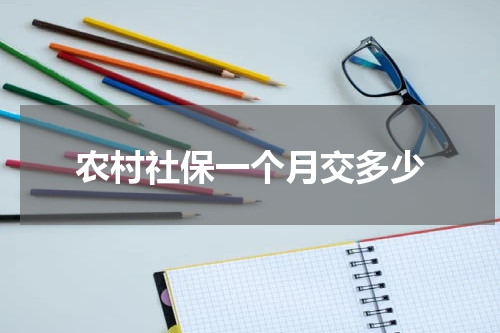 农村社保一个月交多少