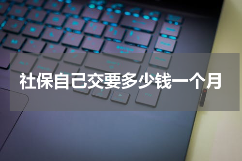 社保自己交要多少钱一个月