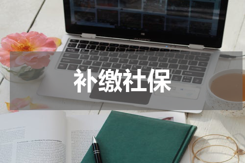 补缴社保