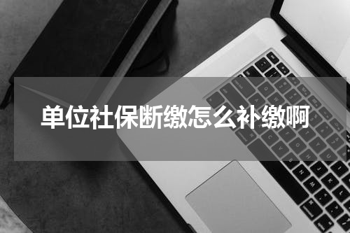 单位社保断缴怎么补缴啊