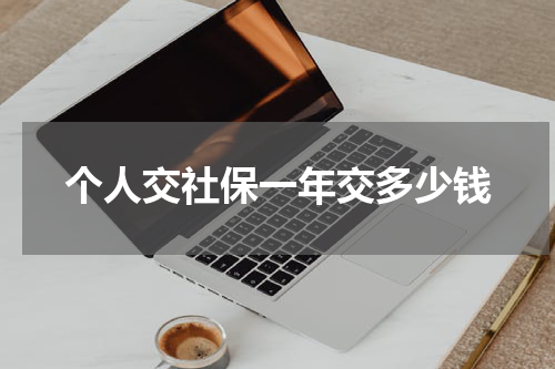个人交社保一年交多少钱