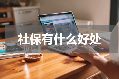 社保有什么好处