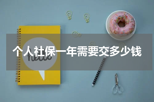 个人社保一年需要交多少钱