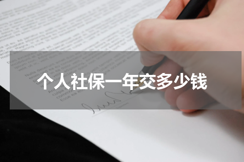 个人社保一年交多少钱