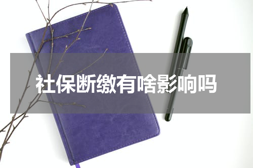 社保断缴有啥影响吗