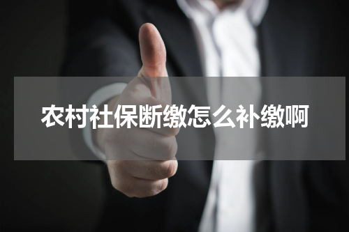 农村社保断缴怎么补缴啊