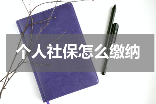 个人社保怎么缴纳