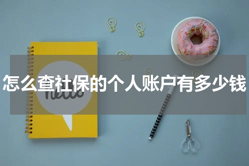 怎么查社保的个人账户有多少钱