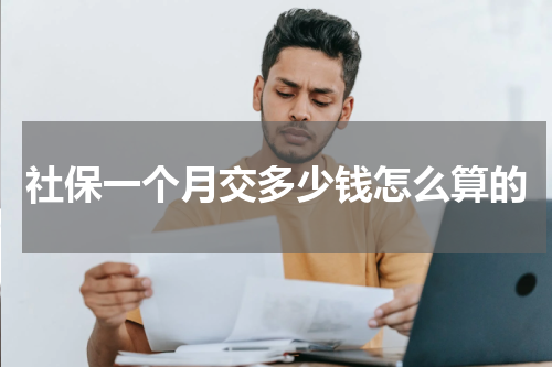 社保一个月交多少钱怎么算的