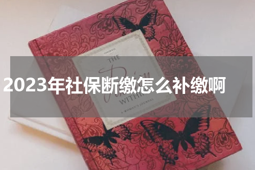 2023年社保断缴怎么补缴啊