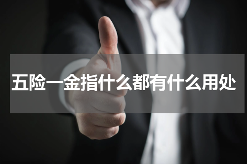 五险一金指什么都有什么用处