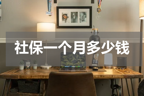 社保一个月多少钱