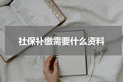 社保补缴需要什么资料