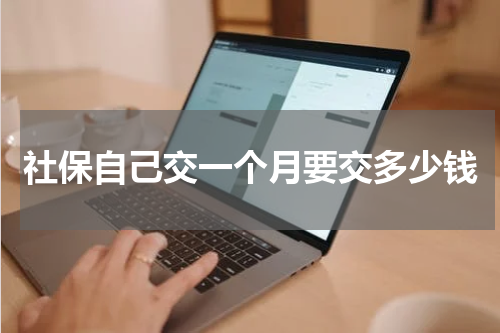 社保自己交一个月要交多少钱