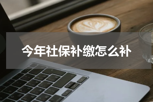 今年社保补缴怎么补