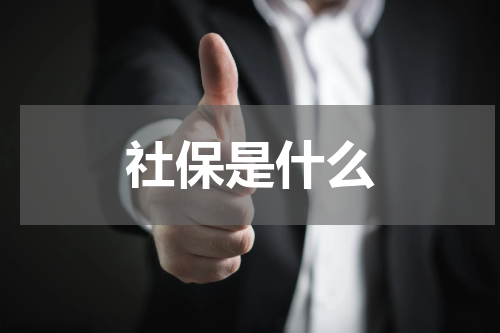 社保是什么