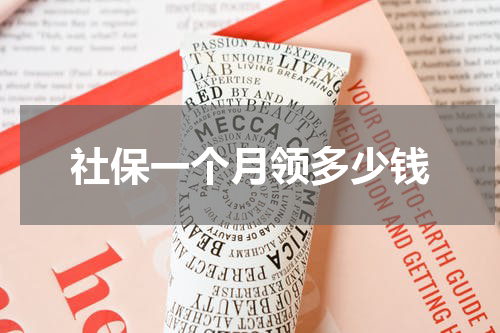 社保一个月领多少钱