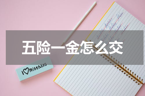 五险一金怎么交
