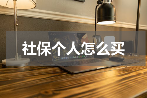 社保个人怎么买
