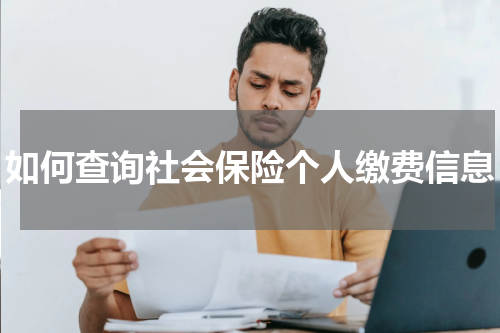 如何查询社会保险个人缴费信息