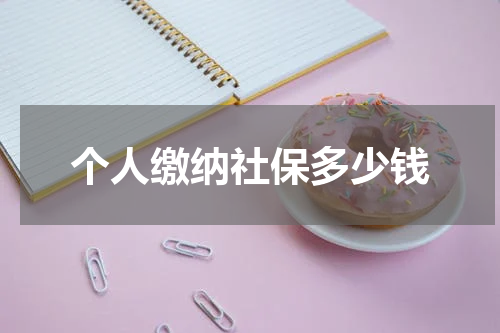 个人缴纳社保多少钱