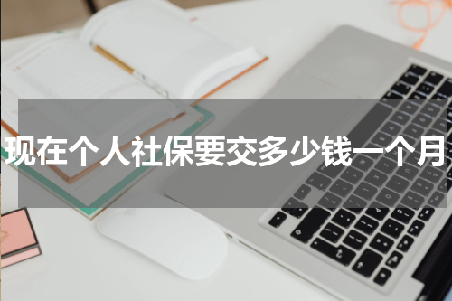 现在个人社保要交多少钱一个月