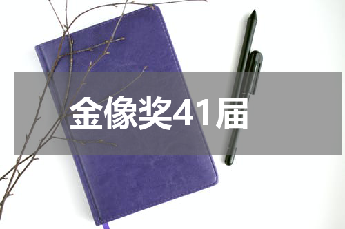 金像奖41届