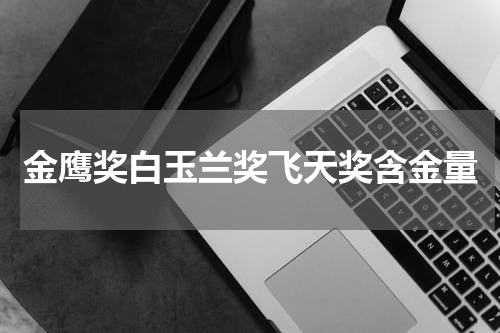 金鹰奖白玉兰奖飞天奖含金量