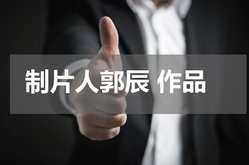 制片人郭辰 作品