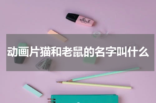 动画片猫和老鼠的名字叫什么