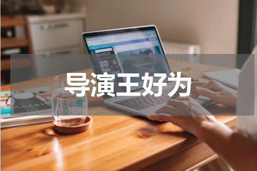 导演王好为