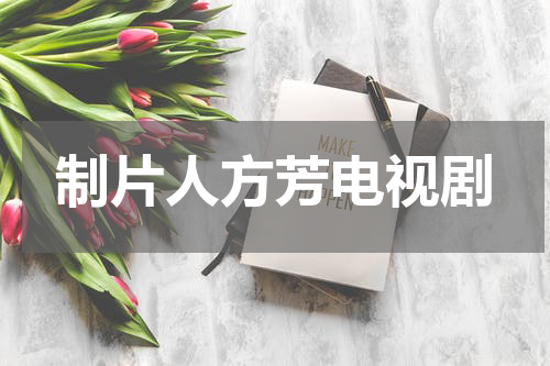 制片人方芳电视剧