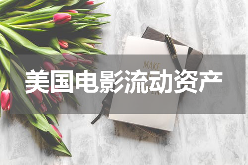 美国电影流动资产