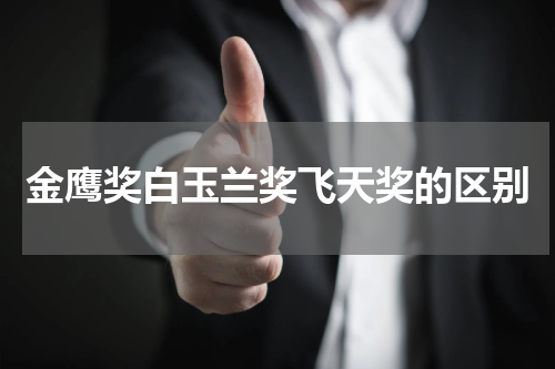 金鹰奖白玉兰奖飞天奖的区别
