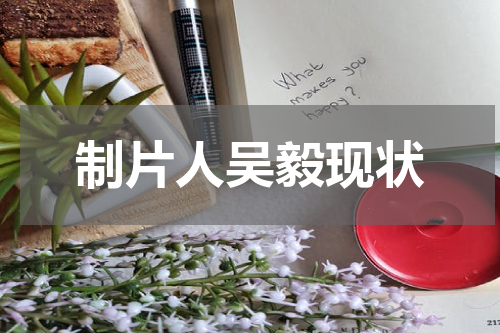 制片人吴毅现状