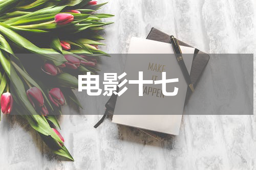 电影十七