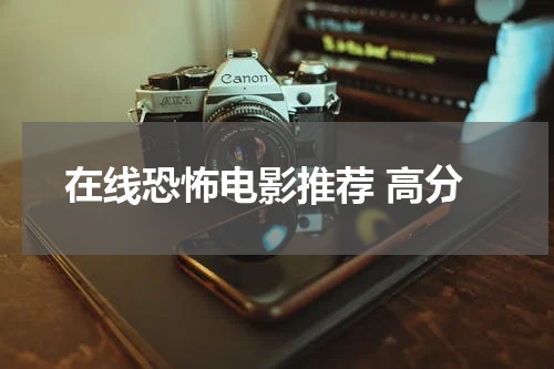 在线恐怖电影推荐 高分
