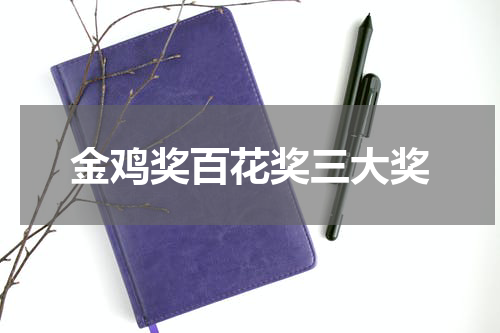 金鸡奖百花奖三大奖