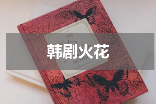 韩剧火花