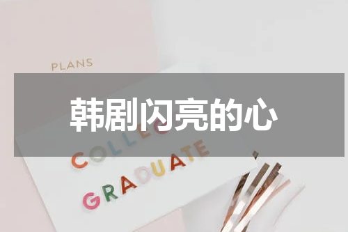 韩剧闪亮的心