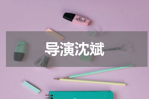 导演沈斌