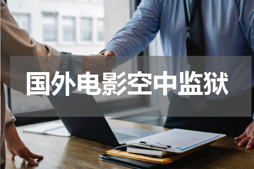 国外电影空中监狱